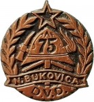 DVD NOVA BUKOVICA 1904 1979 brončana